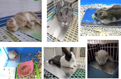 Comtim Rabbits Cooling Mat, Self Cooling Mat Pad for Hamster Guinea Pig Chinchilla Bunny Kitten Cat and Other Small Animals, Pet Cool Plate Ice Bed, Rapid Cooling - Perfect for Hot Summer Weather, M