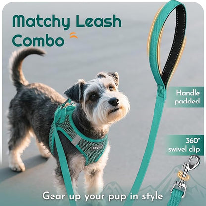 Eagloo Small Dog Harness and Leash Set, Step in Puppy Vest with Breathable Soft Mesh, Walking Reflective Pet Harness for Small Dogs, Forest Green, XXS
