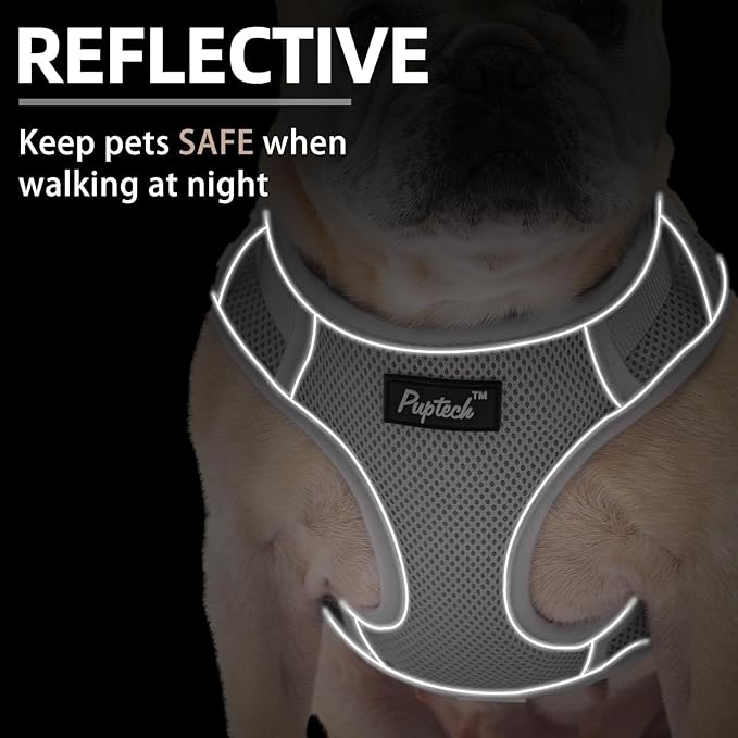 PUPTECK Small Dog Harness and Leash Set, No Pull Adjustable Puppy Cat Harness, Reflective Soft Mesh Pet Vest Small Sized, Grey, XS