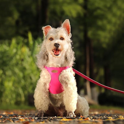 Beirui ‌Stylish PU Leather Dog Harness‌ and Leash Set for Small Dogs, ‌Adjustable Step in Dog Vest Harness with Breathable Mesh Lining and Durable Metal Buckle for Walking Traveling(Hot Pink,S)