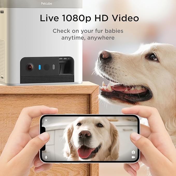 Petcube Bites 2 Lite Interactive WiFi Pet Monitoring Camera with Phone App and Treat Dispenser, 1080p HD Video, Night Vision, Two-Way Audio, Sound and Motion Alerts, Cat and Dog Monitor