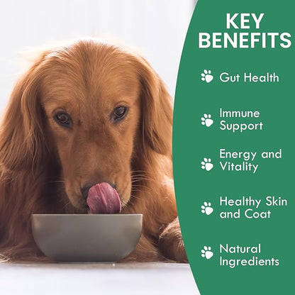 Holistic Bin Canine Beef Bone Broth Protein Powder Dog Food Toppers | Daily Supplement Powder with Bone Broth, Spirulina Nib & Beetroot | Glossy Coat, Joints & Overall Wellness | Beef Blend (50g)