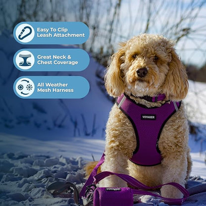 Best Pet Supplies Voyager Step-in Air All Weather Mesh Harness and Reflective Dog 5ft Leash Combo with Neoprene Handle, for Small, Medium and Large Breed Puppies - Set (Purple/Black Trim), Medium