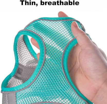 Blue Dog Harness for Medium Dogs, No-Pull Dog Harness and Leash for Easy Walk, Breathable Mesh Reflective Dog Vest for Small Medium Breed Pet Dogs, M