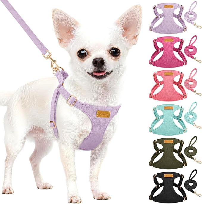 SlowTon Dog Harness Small Sized Dog - Soft XXS Dog Harness and Leash Set No Pull No Chock, Adjustable Lightweight Puppy Harness for XS Small Medium Dogs Cats (Solid Purple, XXS)