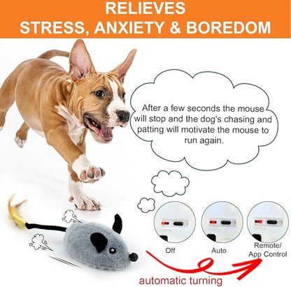 BABORUI Interactive Dog Toys Mouse, Remote Control Escaping Mice Squeaky Dog Toy with Lights & Auto-Turn, Rechargeable Moving Dog Toys for Small/Medium/Large Dogs & Cats(Grey)
