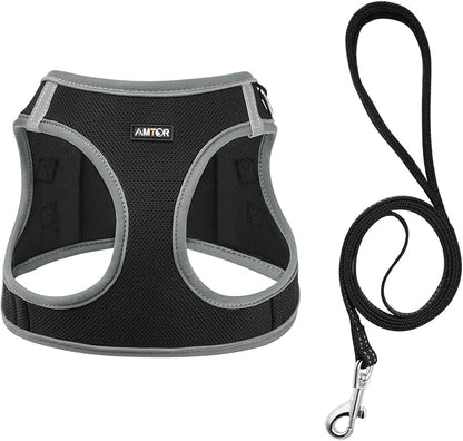 AMTOR Small Dog Harness with Leash Set, No Escape Easy Walk Puppy Harnesses for Training Walking, Step-in Reflective Soft Dogs Vest for XS S Medium Extra-Small Large Sized Dog(M,Black/Grey)