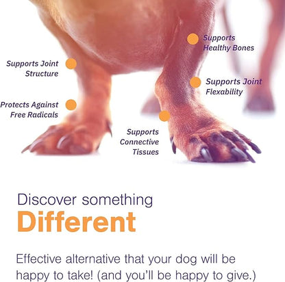 Virbac MOVOFLEX® Soft Chews | Hip and Joint Support Supplement for Medium Dogs (60 Count) | Veterinarian Formulated