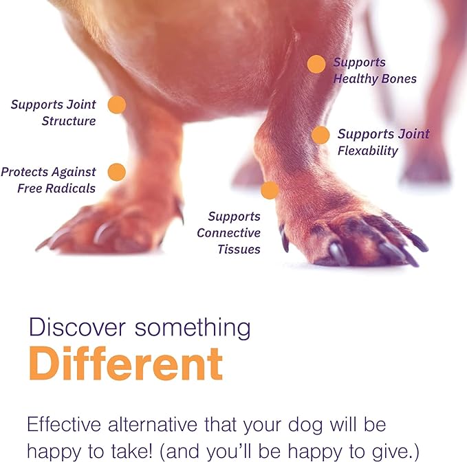 MOVOFLEX Joint Support Supplement for Dogs - Hip and Joint Support - Dog Joint Supplement - Hip and Joint Supplement Dogs - 120 Soft Chews for Small Dogs (By Virbac)