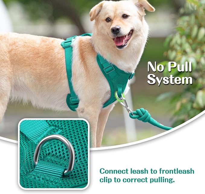 No Pull Dog Harness for Small Medium Large Dogs - Adjustable 2 Layer Mesh Dog Vest with Dual Clip, Escape Proof, Quick Release, Lightweight Breathable Mesh for Walking Hiking (MARRS Green,M)