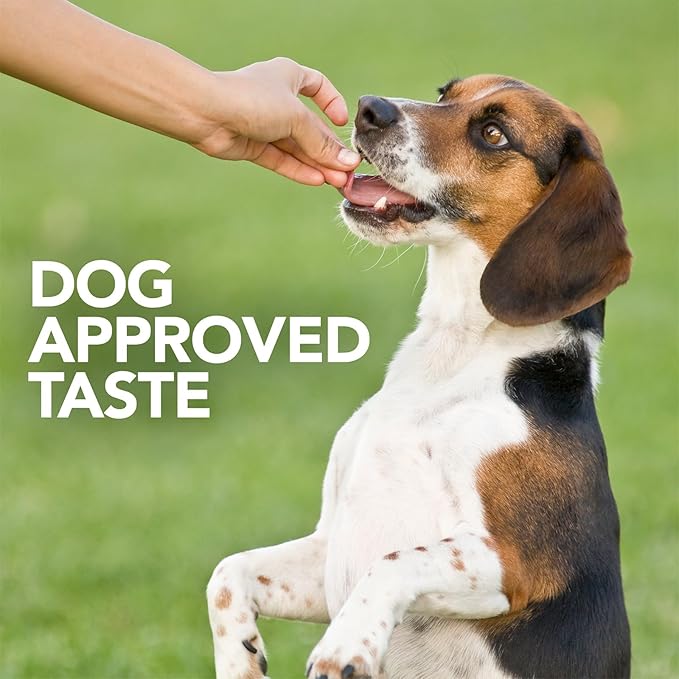 Vet's Best Probiotic Soft Chews Dog Supplement - Supports Dog Digestive Health - Promotes a Healthy Gut - 30 day supply