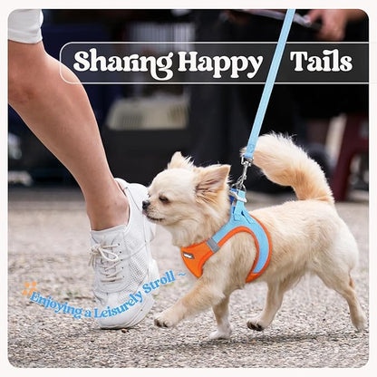 rabbitgoo Dog Harness Small Sized and Leash Set, Step in Soft Light Puppy Vest, Breathable Mesh Pet Harness, Reflective for Safe Easy Walking, Blue & Orange XXS