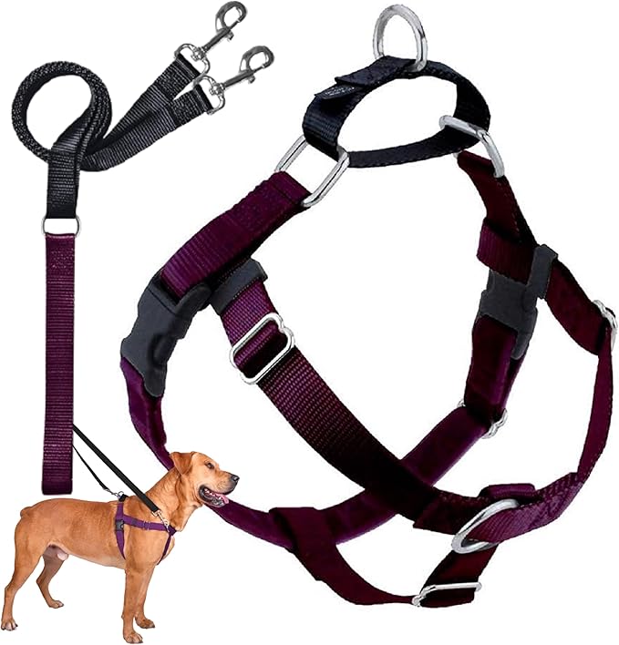 2 Hounds Design Freedom No Pull Dog Harness, Adjustable Harness and Leash Set, Easy Walking & Comfortable Control, Fits Small, Medium & Large Dogs, Solid Colors, Made in USA, 5/8" MD, Burgundy
