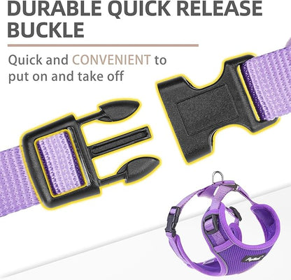 PUPTECK Small Dog Harness and Leash Set, No Pull Adjustable Puppy Cat Harness, Reflective Soft Mesh Pet Vest Small Sized, Purple, M