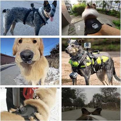 Dog Harness Mount for Camera, Adjustable Dog Harness Vest with Pet Chest and Back Fixation Mouting Base for Gopro Hero, Compatible with Osmo Action and Insta360, Suitable for Medium Large Dogs