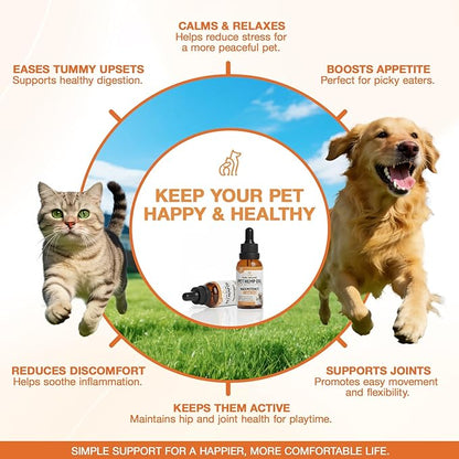 Неmp Oil for Dogs Cats (2-Pack), Organic Dog Anxiеty Relief & Strеss & Pаin Rеlief for Dogs, Supports Hip Joint Health, Rеlaxation & Slеep, Pet Calming Drops