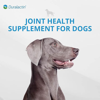 PRN Pharmacal Duralactin Canine Joint Plus Soft Chews - Joint Health Supplement for Dogs & Puppies - Pet Mobility Support - 60 Soft Chews