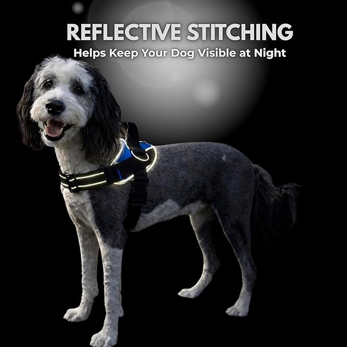 ShawnCo Essential Dog Harness, No-Pull Pet Vest with 3 Leash Clips, No Choke, Reflective, Adjustable and Padded, for Easy Walking and Training for Small, Medium and Large Dogs (Seafoam, L)