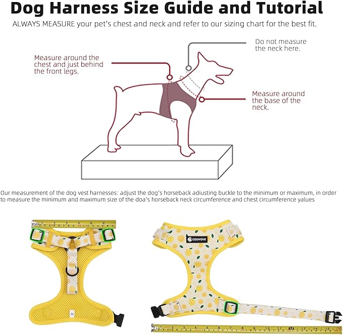 Dog Harness and Leash Set, Adjustable Dog Harness, Dog Leash, No Pull No Choke Puppy Harnesses for Walking Training for Small, Medium Pet (Little Love, L(Chest 19.6-28", Neck 15.7-21.1"))