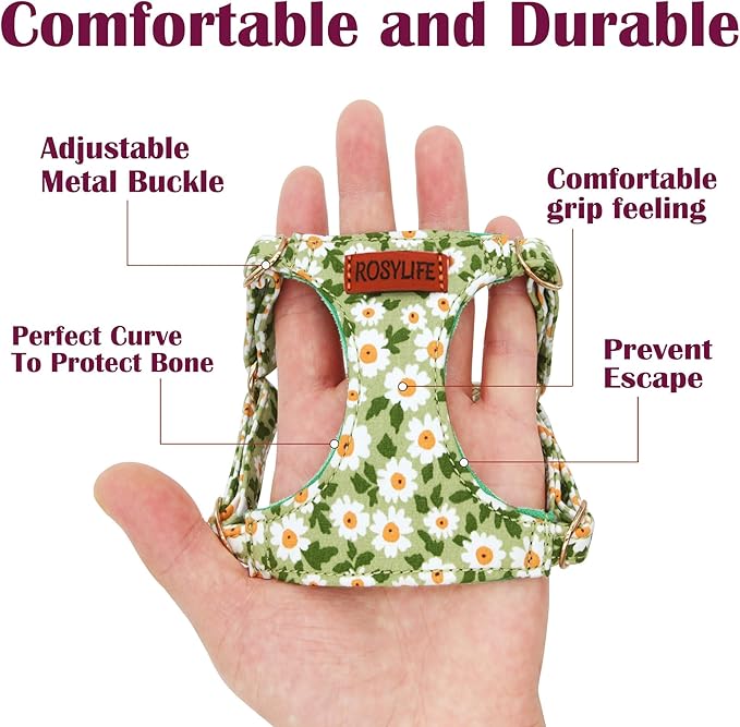 No Pull Dog Harness Adjustable Small Dog Harness and Leash Set, Lightweight and Soft, Green Daisy, XS