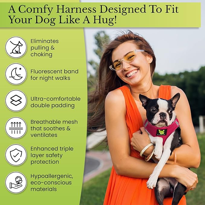 EcoBark Rapid Fastener Super Comfort Fully Adjustable Double Padded Step in Dog Harness (X-Small, Green)