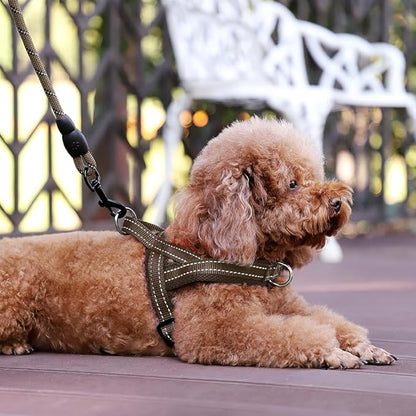 Plutus Pet No Pull Dog Harness with Breathable Mesh Padded, Adjustable Reflective Escape Proof Dog Harness, Quick Fit Dog Vest Harness for Small Medium Large Dogs(XS, Chocolate)
