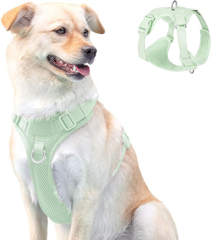 No Pull Dog Harness for Small Medium Large Dogs - Adjustable 2 Layer Mesh Dog Vest with Dual Clip, Escape Proof, Quick Release, Lightweight Breathable Mesh for Walking Hiking (Light Green,XS)