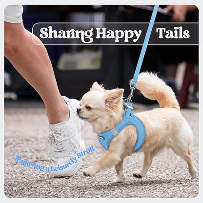 rabbitgoo Dog Harness Small Sized and Leash Set, Step in Soft Light Puppy Vest, Breathable Mesh Pet Harness, Reflective for Safe Easy Walking, Blue XXXS