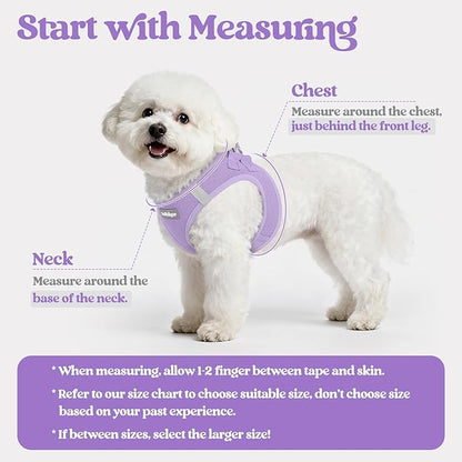 rabbitgoo Dog Harness Medium Sized and Leash Set, Step in Soft Light Puppy Vest, Breathable Mesh Pet Harness, Reflective for Safe Easy Walking, Light Purple XXL