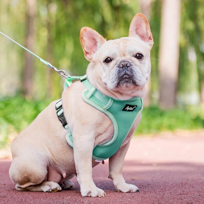 PUPTECK Small Dog Harness and Leash Set, No Pull Adjustable Puppy Cat Harness, Reflective Soft Mesh Pet Vest Small Sized, Green, S