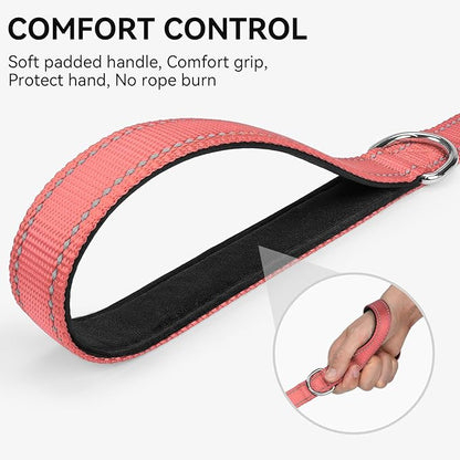 Joytale Dog Leash, 4 FT Double-Sided Reflective, Padded Handle Nylon Heavy Duty Leashes for Small Dogs Walking, Neon Pink