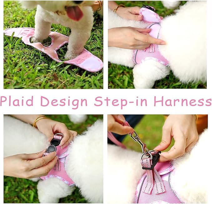 Hipubby Dog Harness Small Sized and Leash Set, No Pull Soft Mesh Puppy Vest, Reflective Breathable Lightweight Pet Harness, Harness for Small Medium Dogs and Cats - Light Pink XS