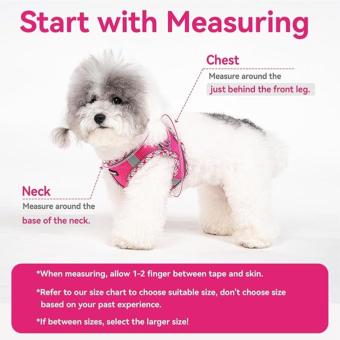 Petank Dog Harness for Small Medium Dogs No Pull, Puppy Harness and Leash Set for Walking, Running, Training, Small Dog Harness, Medium Dog Harness (Yellow, M)