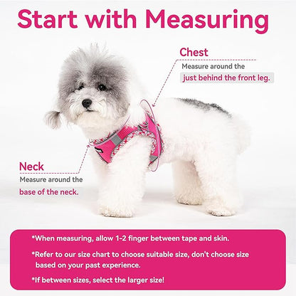 Petank Dog Harness for Small Medium Dogs No Pull, Puppy Harness and Leash Set for Walking, Running, Training, Small Dog Harness, Medium Dog Harness (Yellow, L)