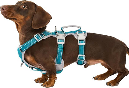 Huntboo No Escape Dog Harness, Escape Proof Harness, Fully Reflective Harness with Padded Handle, Breathable, Durable, Adjustable Vest for Medium Dogs Walking, Training, and Running Gear (Teal,M)