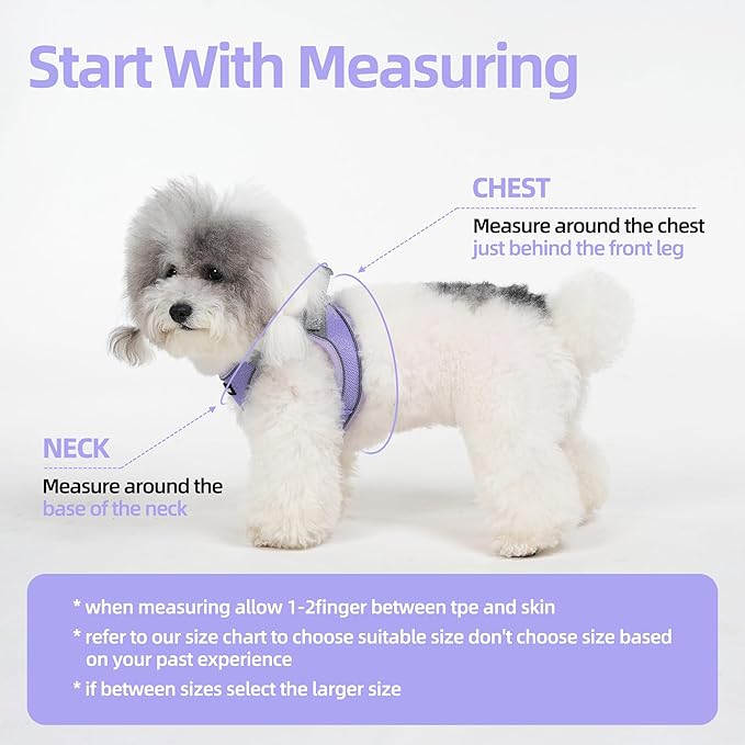 Solmoony Sparkly XS Dog Harness and Leash Set, Step in Soft Light Puppy Vest, Breathable Reflective Pet Harness for Walking, Puppy Harness for Small Dogs Cats (Purple, XS)