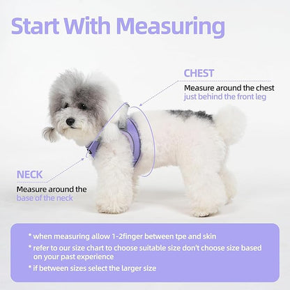 Solmoony Sparkly Medium Dog Harness and Leash Set, Step in Soft Light Puppy Vest, Breathable Reflective Pet Harness for Walking, Puppy Harness for Medium Dogs Cats (Purple, L)
