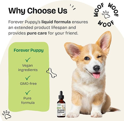 Forever Puppy Dog Calming Drops - Natural Stress & Separation Support - Avena Sativa Oat Extract for Barking, Fireworks & Travel - Brain & Nervous System Wellness - 2 fl oz