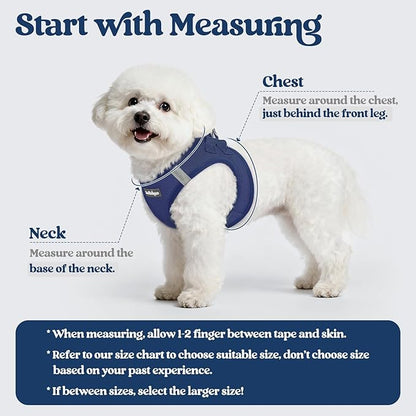 rabbitgoo Dog Harness Small Sized and Leash Set, Step in Soft Light Puppy Vest, Breathable Mesh Pet Harness, Reflective for Safe Outdoor Walking, Navy Blue M