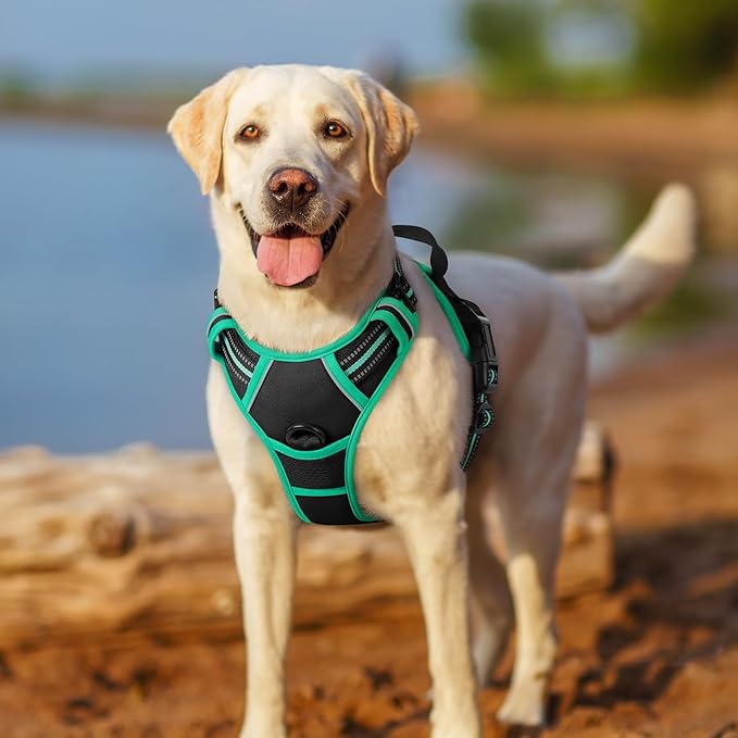 rabbitgoo Dog Harness No Pull with 2 Leash Clips, Adjustable Soft Padded, Reflective Oxford No Choke Pet Vest with Easy Control Handle for Large Dogs, Black & Turquoise, XL