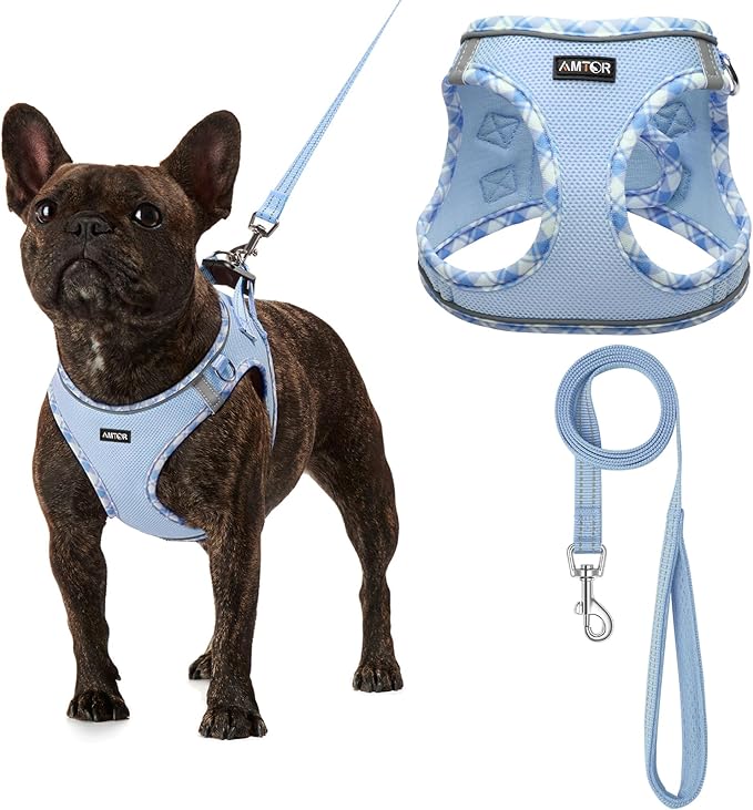 AMTOR Small Dog Harness with Leash Set, No Escape Easy Walk Puppy Harnesses for Training Walking, Step-in Reflective Soft Dogs Vest for XS S Medium Extra-Small Large Sized Dog(S Size,Blue/White)