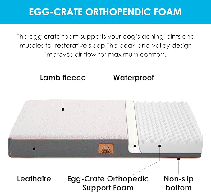 Sunheir Extra Large Dog Bed - Orthopedic Bed with Removable Waterproof Cover, Machine Washable, Egg Crate Foam, XL(41"X27"X3"), Light Grey