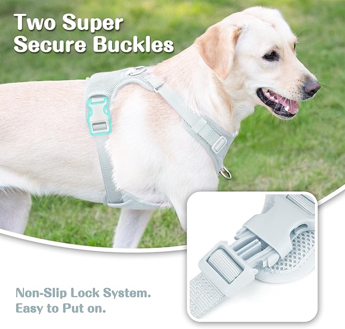No Pull Dog Harness for Small Medium Large Dogs - Adjustable 2 Layer Mesh Dog Vest with Dual Clip, Escape Proof, Quick Release, Lightweight Breathable Mesh for Walking Hiking (Light Blue,XS)