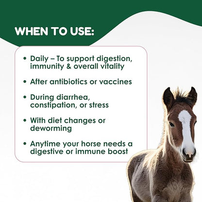 Horse Probiotic Paste – 8 Billion CFU Equine Probiotic with Prebiotics & Vitamins – Hindgut Health, Digestive Balance & Feed Efficiency Support – 80CC