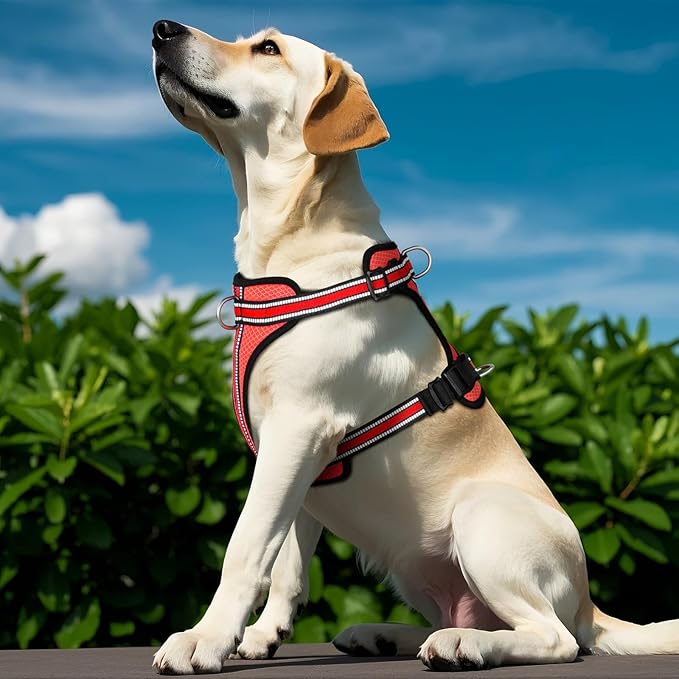 Wisedog Reflective No Pull Dog Harness - Adjustable Lightweight Pet Vest with 3 Fast-Release Buckles for Dogs Walking, Running and Training(S, Orange)