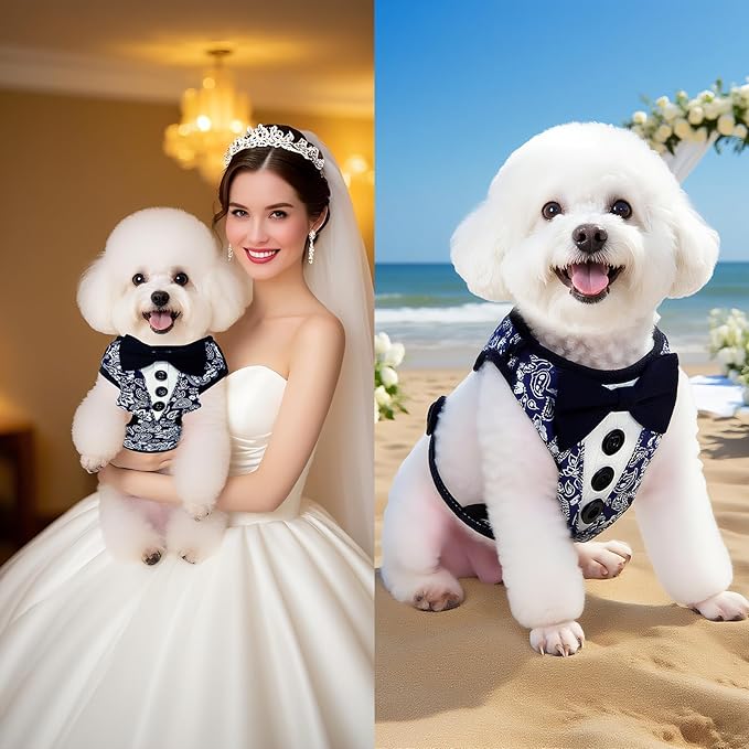 EXPAWLORER Dog Tuxedo Harness, Adjustable No Pull Pet Vest Harness with Leash Wedding Suit Attire with Bow Tie, Soft Padded Step-in Party Outfit Costume for Puppy Small Medium Dogs, Blue XS