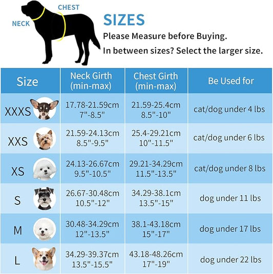 AIITLE XXS Dog Harness & Leash Set - Breathable Reflective No-Choke Small Dog Harness for Teacup Puppies, Indoor/Outdoor Use - Boston Terrier, Maltese, Chihuahua (Blue, XXS)