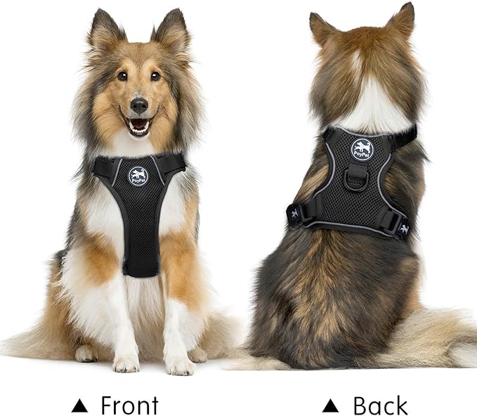 PoyPet Reflective Soft Breathable Mesh Dog Harness Choke-Free Double Padded Vest with Adjustable Neck and Chest(Black,XL)