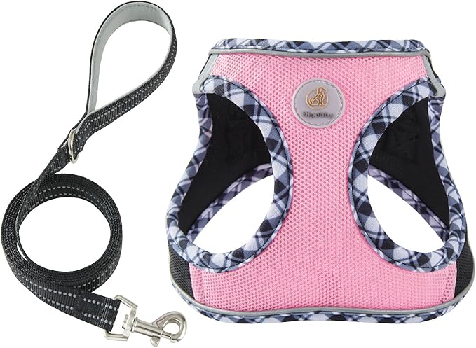 Hipubby Dog Harness Small Sized and Leash Set, No Pull Soft Mesh Puppy Vest, Reflective Breathable Lightweight Pet Harness, Harness for Small Medium Dogs and Cats - Black Pink, M