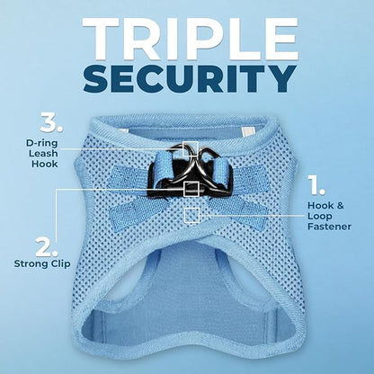 Best Pet Supplies Voyager Step-in Air All Weather Mesh Harness and Reflective Dog 5ft Leash Combo with Neoprene Handle, for Small, Medium and Large Breed Puppies - Set (Baby Blue), XX-Small